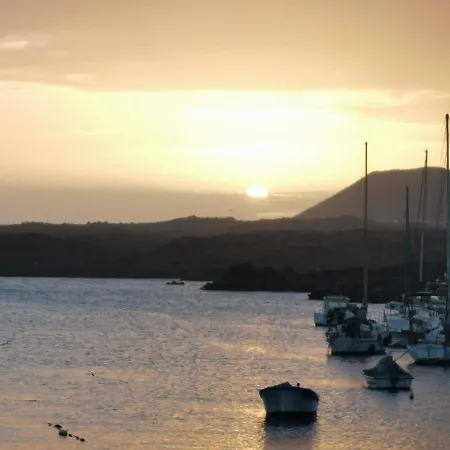 Sunny With Terrace Coastal Area South Arona * Arona (Tenerife)